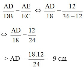 Trắc nghiệm Định lý Ta-lét trong tam giác có đáp án – Toán lớp 8 (ảnh 26)