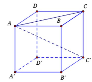 Trắc nghiệm Thể tích hình hộp chữ nhật có đáp án - Toán lớp 8 (ảnh 17)