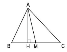 SBT Toán lớp 5 trang 38,39: Luyện tập chung về diện tích hình tam giác và hình thang (ảnh 1)