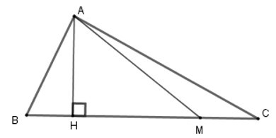 Trắc nghiệm Diện tích tam giác có đáp án - Toán lớp 8 (ảnh 10)