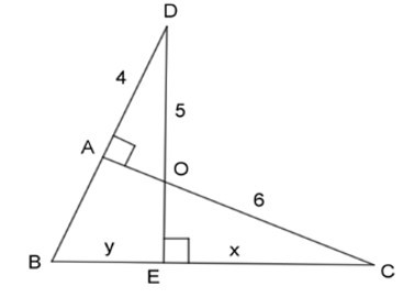 Trắc nghiệm Trường hợp đồng dạng của tam giác vuông có đáp án - Toán 8 (ảnh 26)