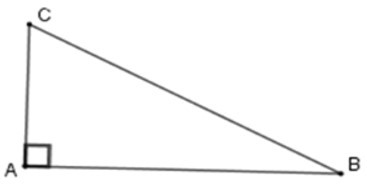 Trắc nghiệm Diện tích tam giác có đáp án - Toán lớp 8 (ảnh 12)
