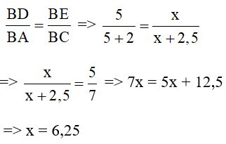 Trắc nghiệm Định lý Ta-lét trong tam giác có đáp án – Toán lớp 8 (ảnh 30)