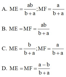 Trắc nghiệm Định lý đảo và hệ quả của định lý Ta-let có đáp án – Toán lớp 8 (ảnh 29)
