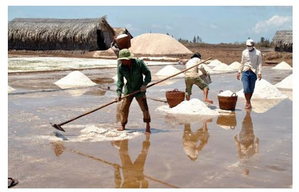 Trong việc sản xuất muối (ảnh 3)
