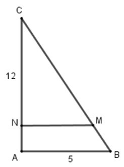 Trắc nghiệm Trường hợp đồng dạng thứ ba của tam giác có đáp án - Toán 8 (ảnh 5)