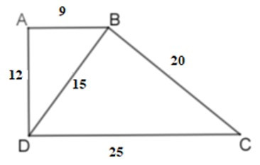 Trắc nghiệm Trường hợp đồng dạng thứ nhất của tam giác có đáp án – Toán lớp 8 (ảnh 18)