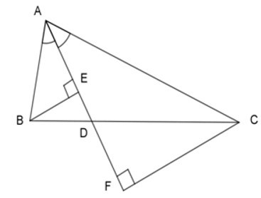 Trắc nghiệm Trường hợp đồng dạng của tam giác vuông có đáp án - Toán 8 (ảnh 4)