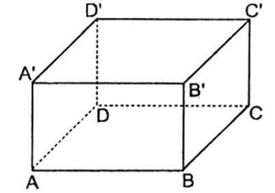 Trắc nghiệm Hình hộp chữ nhật có đáp án - Toán lớp 8 (ảnh 6)