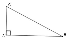Trắc nghiệm Diện tích tam giác có đáp án - Toán lớp 8 (ảnh 18)
