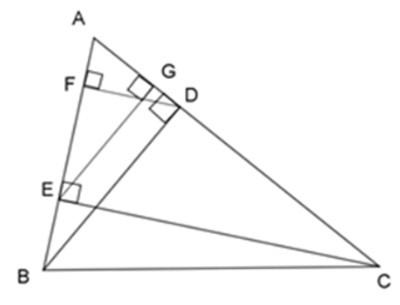 Trắc nghiệm Trường hợp đồng dạng thứ nhất của tam giác có đáp án – Toán lớp 8 (ảnh 21)