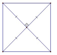 Trắc nghiệm Hình vuông có đáp án - Toán lớp 8 (ảnh 2)