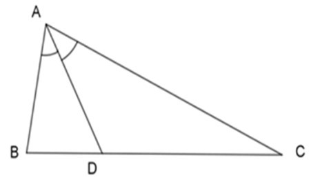 Trắc nghiệm Tính chất đường phân giác của tam giác có đáp án – Toán lớp 8 (ảnh 45)