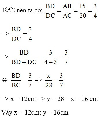 Trắc nghiệm Tính chất đường phân giác của tam giác có đáp án – Toán lớp 8 (ảnh 48)