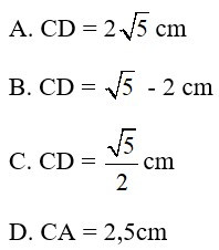 Trắc nghiệm Trường hợp đồng dạng thứ ba của tam giác có đáp án - Toán 8 (ảnh 20)