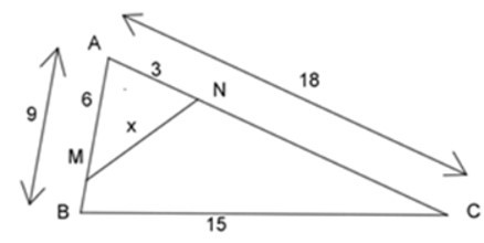 Trắc nghiệm Trường hợp đồng dạng thứ hai của tam giác có đáp án - Toán 8 (ảnh 7)