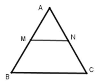 Trắc nghiệm Đường trung bình của tam giác, của hình thang có đáp án - Toán lớp 8 (ảnh 14)