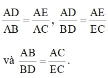 Trắc nghiệm Định lý Ta-lét trong tam giác có đáp án – Toán lớp 8 (ảnh 52)