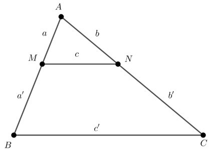 Trắc nghiệm Định lý Ta-lét trong tam giác có đáp án – Toán lớp 8 (ảnh 53)