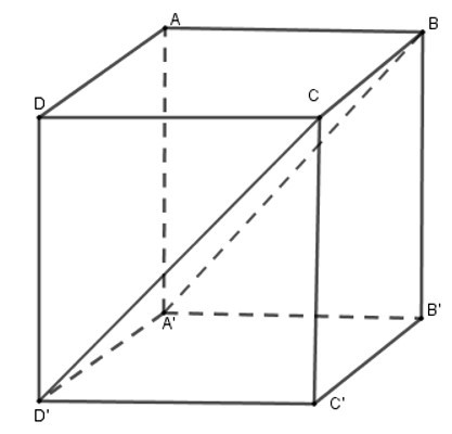 Trắc nghiệm Hình hộp chữ nhật có đáp án - Toán lớp 8 (ảnh 7)