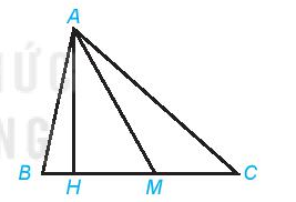 Viết tên các góc có đỉnh A, đỉnh M trong hình vẽ sau (ảnh 1)