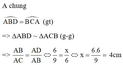 Trắc nghiệm Trường hợp đồng dạng thứ ba của tam giác có đáp án - Toán 8 (ảnh 39)