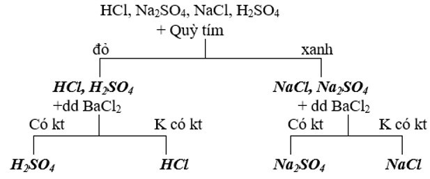 Có bốn lọ đựng các dung dịch không màu là: HCl, Na2SO4 (ảnh 1)