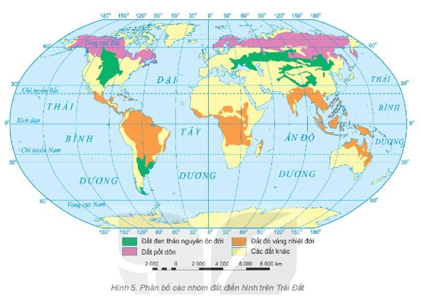 Xác định trên hình 5 nơi phân bố chủ yếu của ba nhóm đất (ảnh 1)