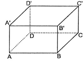 Trắc nghiệm Hình hộp chữ nhật có đáp án - Toán lớp 8 (ảnh 9)