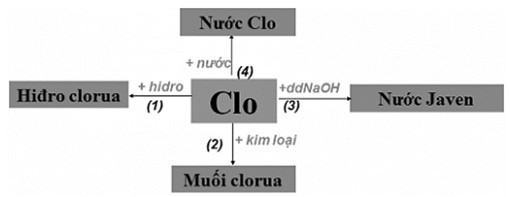 Tính chất hóa học của phi kim (ảnh 1)