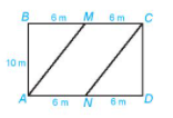 Trên một mảnh đất hình chữ nhật có chiều dài 12m, chiều rộng 10m (ảnh 1)