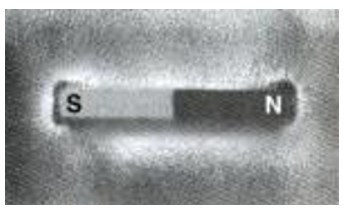 Các mạt sắt xung quanh nam châm được sắp xếp như thế nào (ảnh 1)