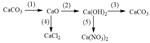 Viết các phương trình hóa học thực hiện những chuyển đổi (ảnh 1)