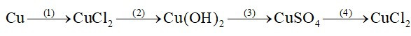Từ những chất: Cu(OH)2, CuCl2, Cu, CuSO4 (ảnh 1)