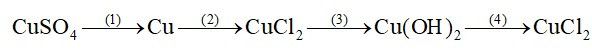 Từ những chất: Cu(OH)2, CuCl2, Cu, CuSO4 (ảnh 2)