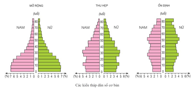 Tháp dân số trẻ và tháp dân số già khác nhau (ảnh 1)