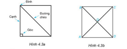 Quan sát Hình 4.3a. Nêu tên các đỉnh, cạnh, đường chéo của hình vuông ABCD  (ảnh 1)