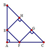 Trắc nghiệm Hình vuông có đáp án - Toán lớp 8 (ảnh 16)