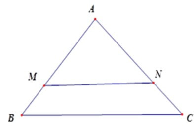 Trắc nghiệm Khái niệm về hai tam giác đồng dạng có đáp án – Toán lớp 8 (ảnh 10)