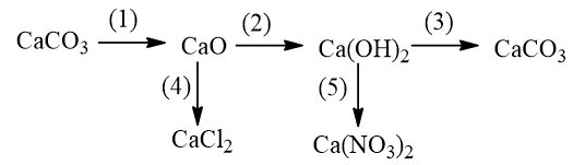 Viết các phương trình hóa học thực hiện các chuyển đổi hóa học sau CaCO3 (ảnh 1)