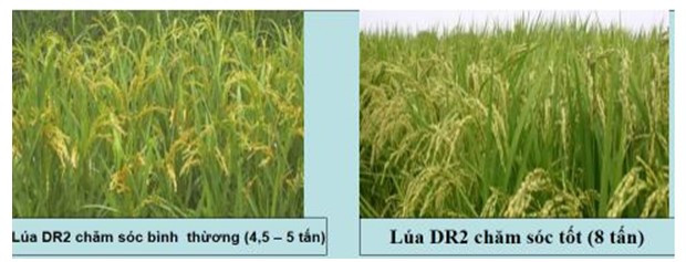 Hãy trả lời các câu hỏi sau (ảnh 1)