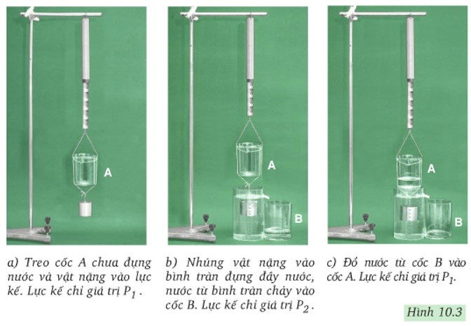 Hãy chứng minh rằng thí nghiệm ở hình 10.3 chứng tỏ dự đoán về độ lớn của lực đẩy (ảnh 1)