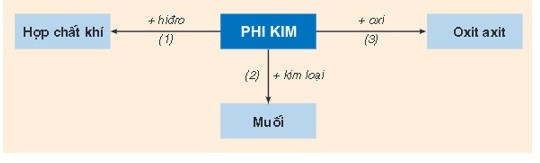 Tài liệu VietJack