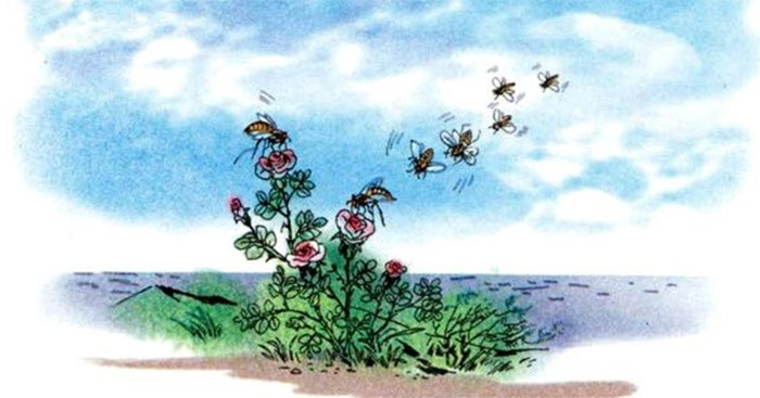  Hành trình của bầy ong- Ngữ văn lớp 6 - Kết nối tri thức (ảnh 1)