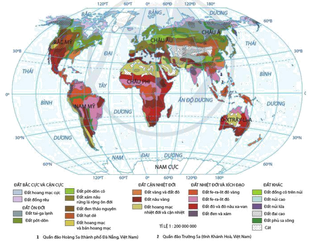 Giải Địa 10 Bài 13: Thực hành: Phân tích bản đồ, sơ đồ về phân bố của đất và sinh vật trên thế giới - Cánh diều (ảnh 1)