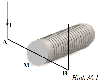 Một đoạn dây dẫn thẳng AB được đặt ở gần đầu M (ảnh 1)