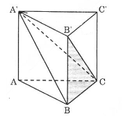 Cho hình lăng trụ đứng tam giác (ảnh 1)