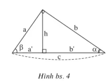 Xét hình bs.4 (ảnh 1)