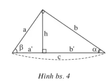 Xét hình bs.4. Tìm đẳng thức đúng trong các bài từ 2.1 đến 2.11 (ảnh 1)