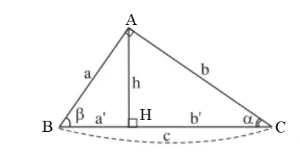 Xét hình bs.4 (ảnh 1)